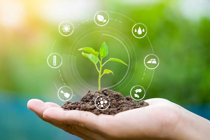 Hands holding seedlings, Modern agriculture with technology concept